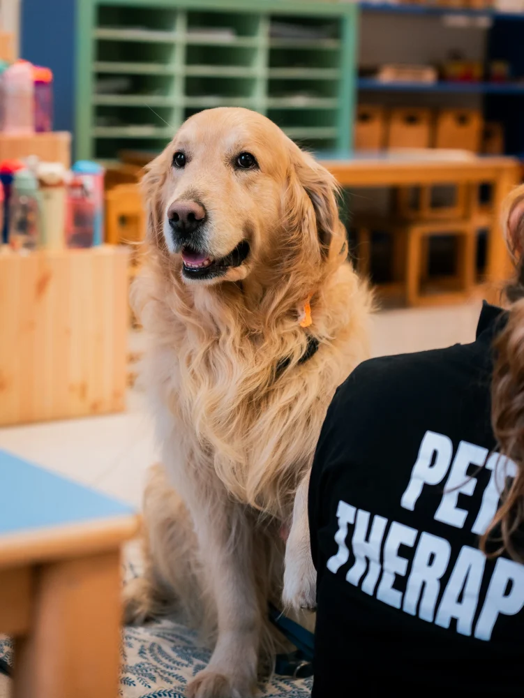 Pet Therapy: le voci di chi c’era