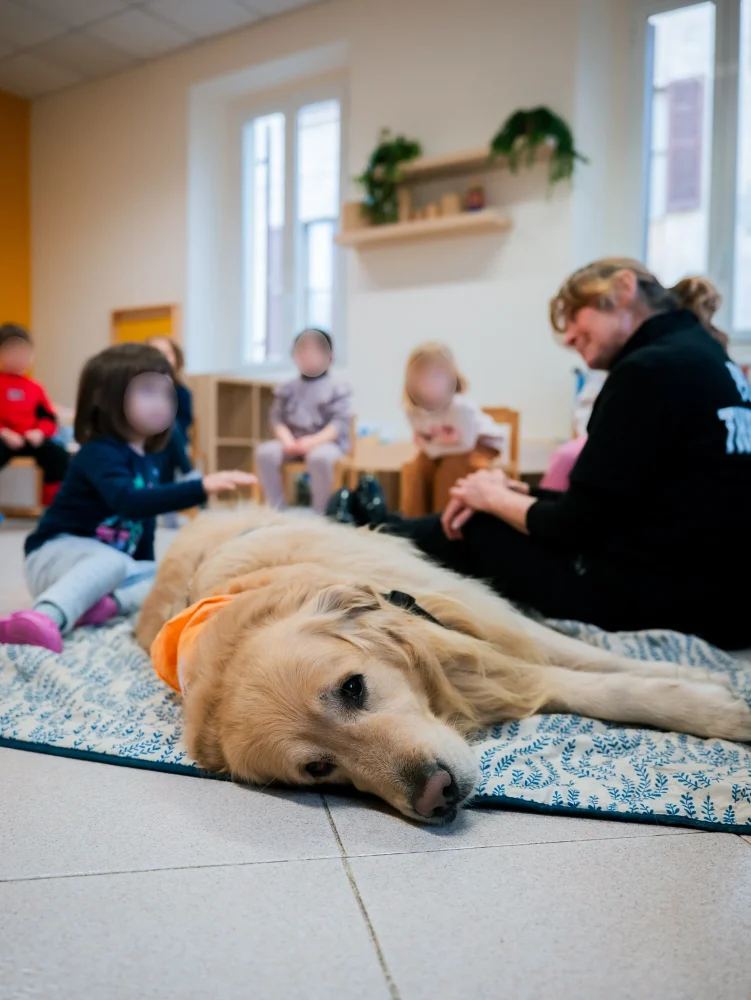 Pet Therapy: le voci di chi c’era