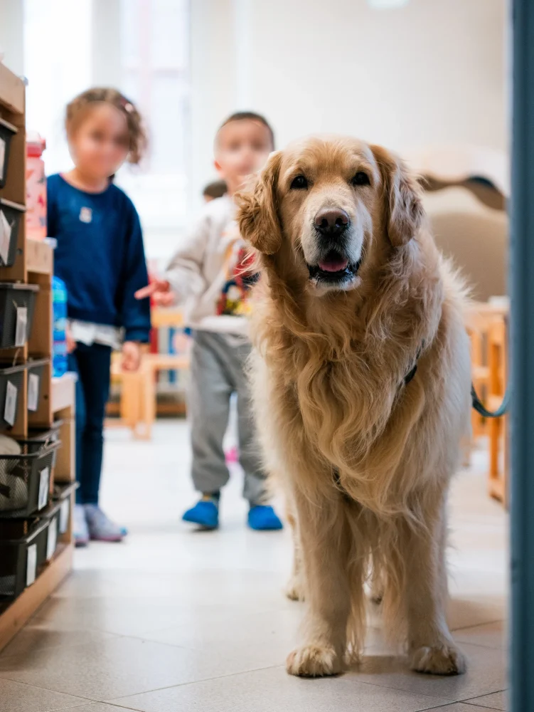 Pet Therapy: le voci di chi c’era